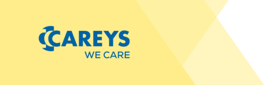 Careys Construction